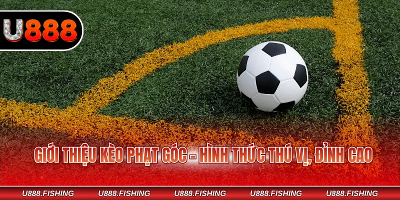 Kèo Phạt Góc - Mẹo Hay Dự Đoán Trúng Lớn Cho Newbie 2 Giới thiệu kèo phạt góc - Hình thức thú vị, đỉnh cao