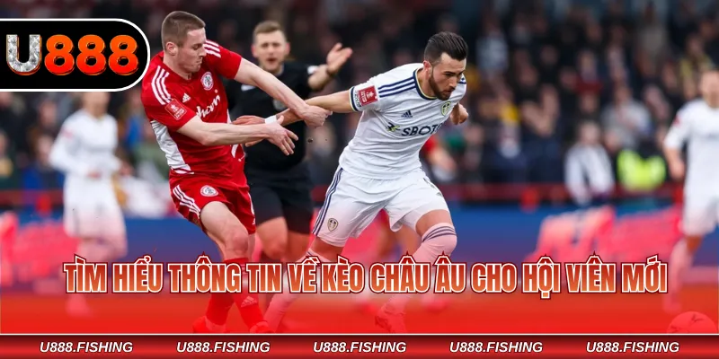 Kèo Châu Âu - Cách Đọc Nhanh Hiệu Quả Cho Newbie 2026 2 Tìm hiểu thông tin về kèo châu Âu cho hội viên mới